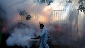 Zika virus: what you need to know