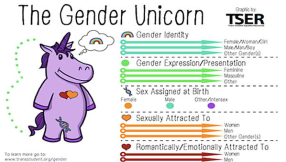 \'Gender Unicorn\' cartoon slammed for brainwashing children into accepting homosexuality