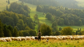 What is the significance of Jesus being our shepherd?