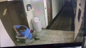 Dog\'s Leash Gets Stuck In Hotel Elevator As It Goes Up; Manager Saves Him With Seconds To Spare